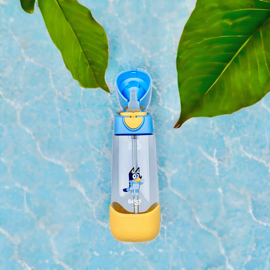 Stainless Steel vs. BPA-Free Plastic Bottles for Kids – Which One Is Better?