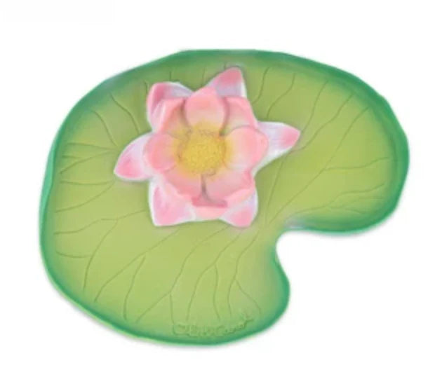 Oil & Carol Water Lily