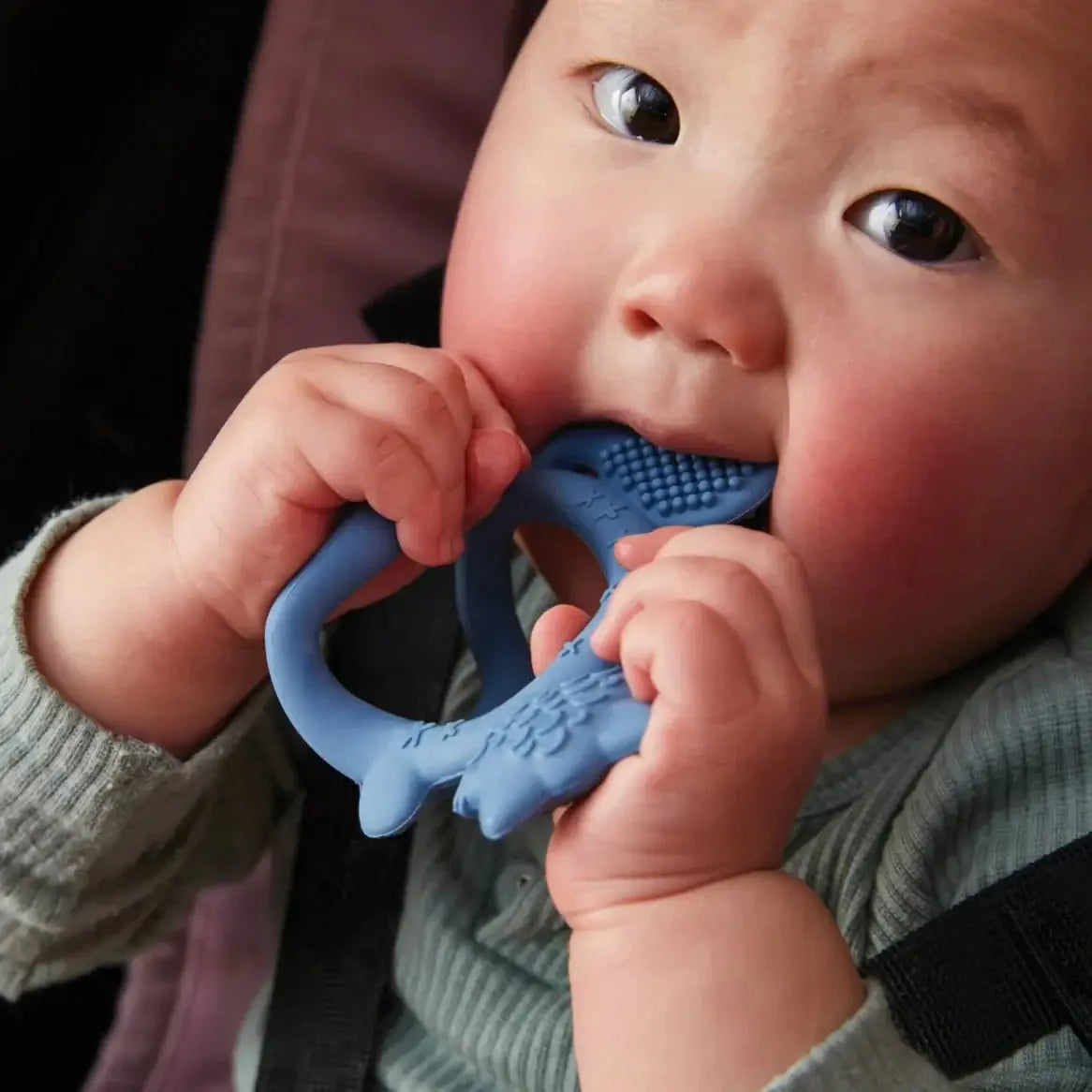 B.Box Wrist Teether - Bubs Universe