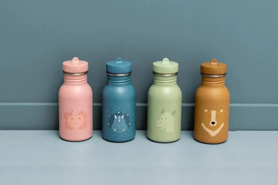 Trixie Bottle 350ml - Mr. Triceratops