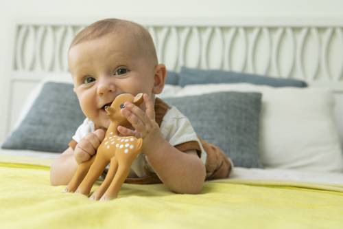 Fanfan the Fawn - Bubs Universe
