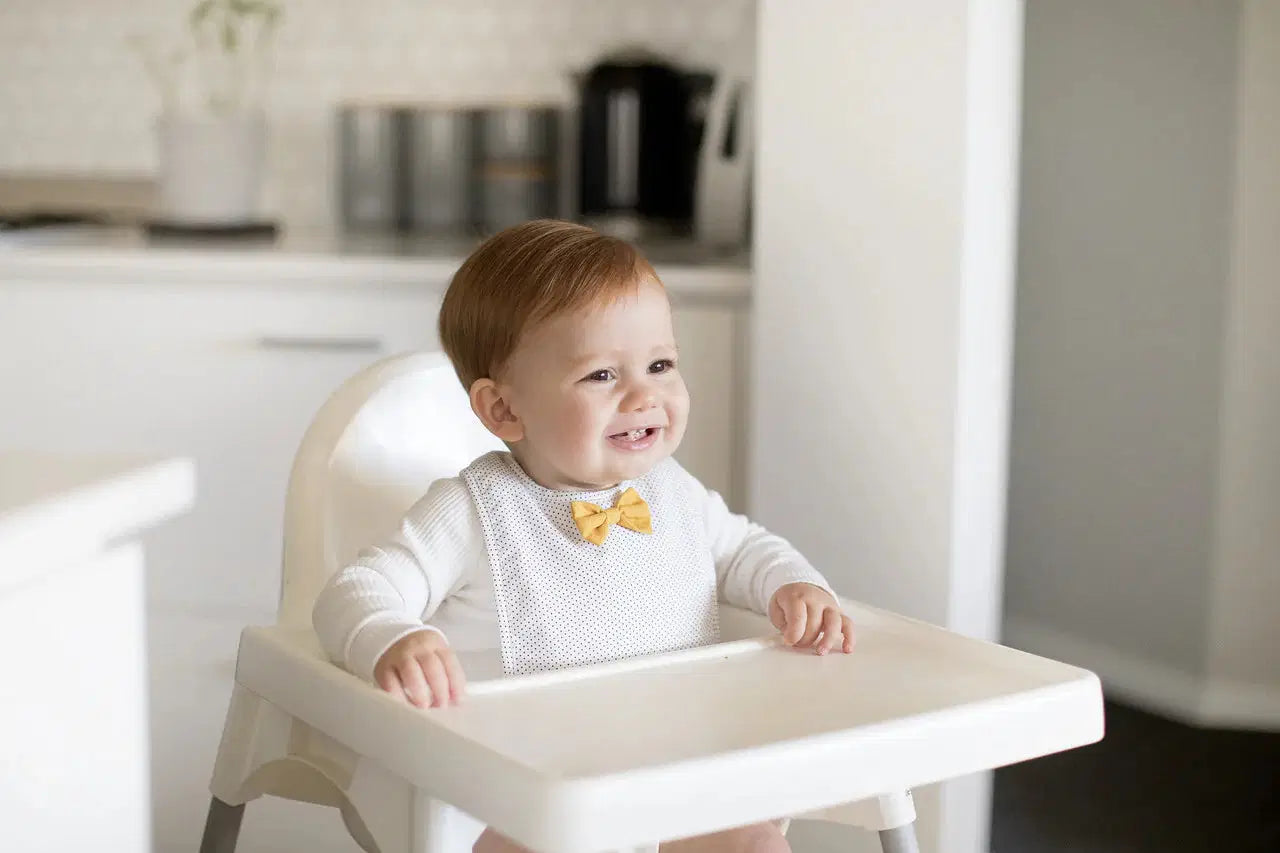 Bow Tie Bib White Navy Star