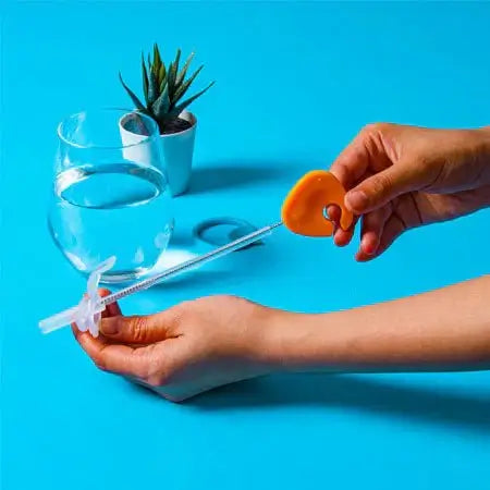 NEW B.Box cleaning brush set - Bubs Universe