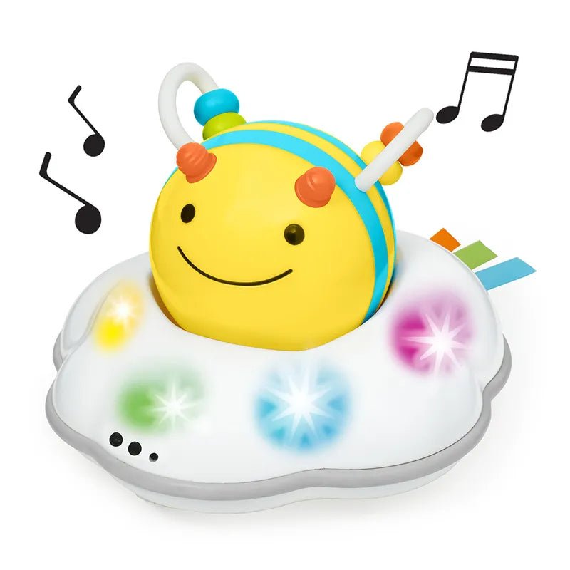 Skip Hop Baby Crawl Toy