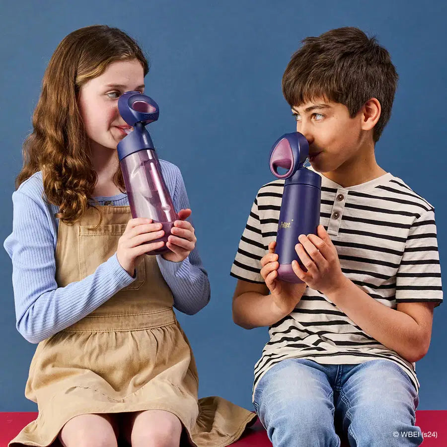 Harry Potter B. Box Insulated Drink Bottle