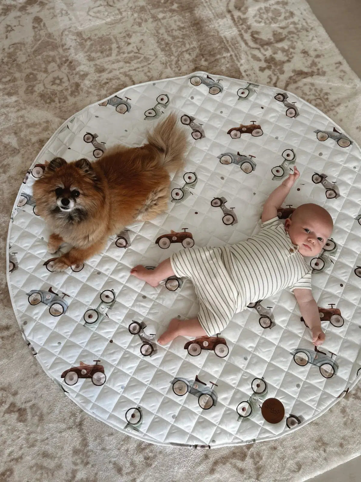 Mini Me Padded Waterproof Playmat Cars