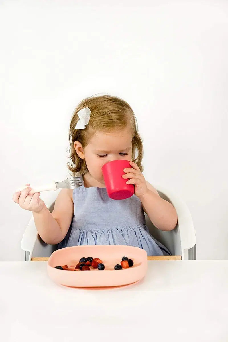 Beaba Silicone Suction Meal Set Pink