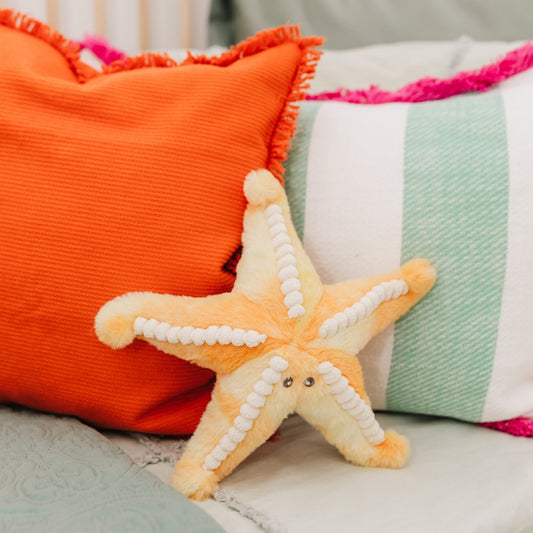 BUBBLE PLUSH TOY - SUNNY THE STARFISH