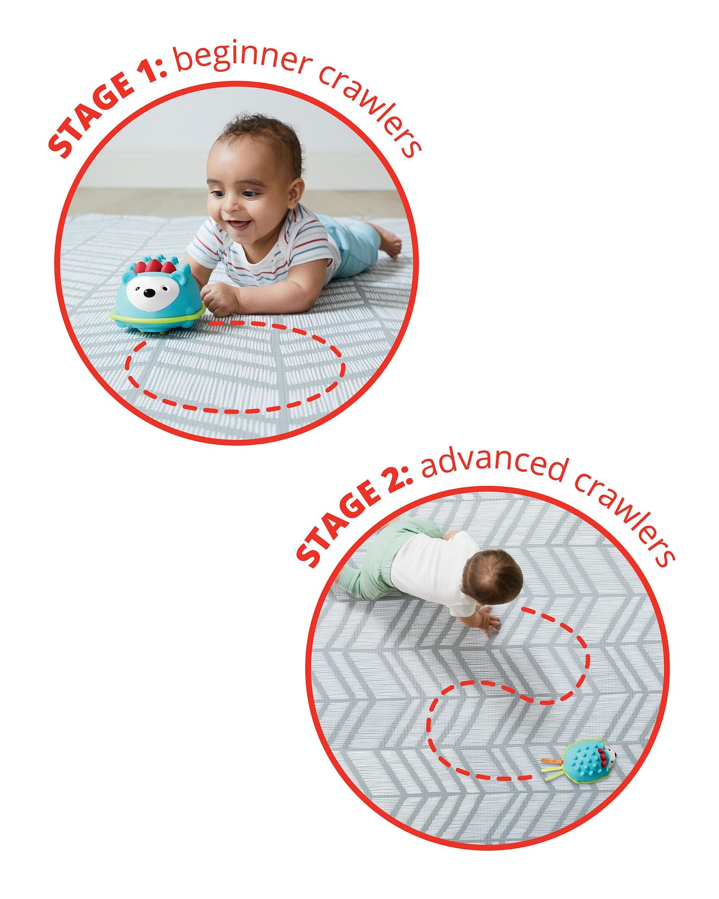 SKIP HOP EXPLORE & MORE HELLO HEDGEHOG CRAWL TOY VENDOR