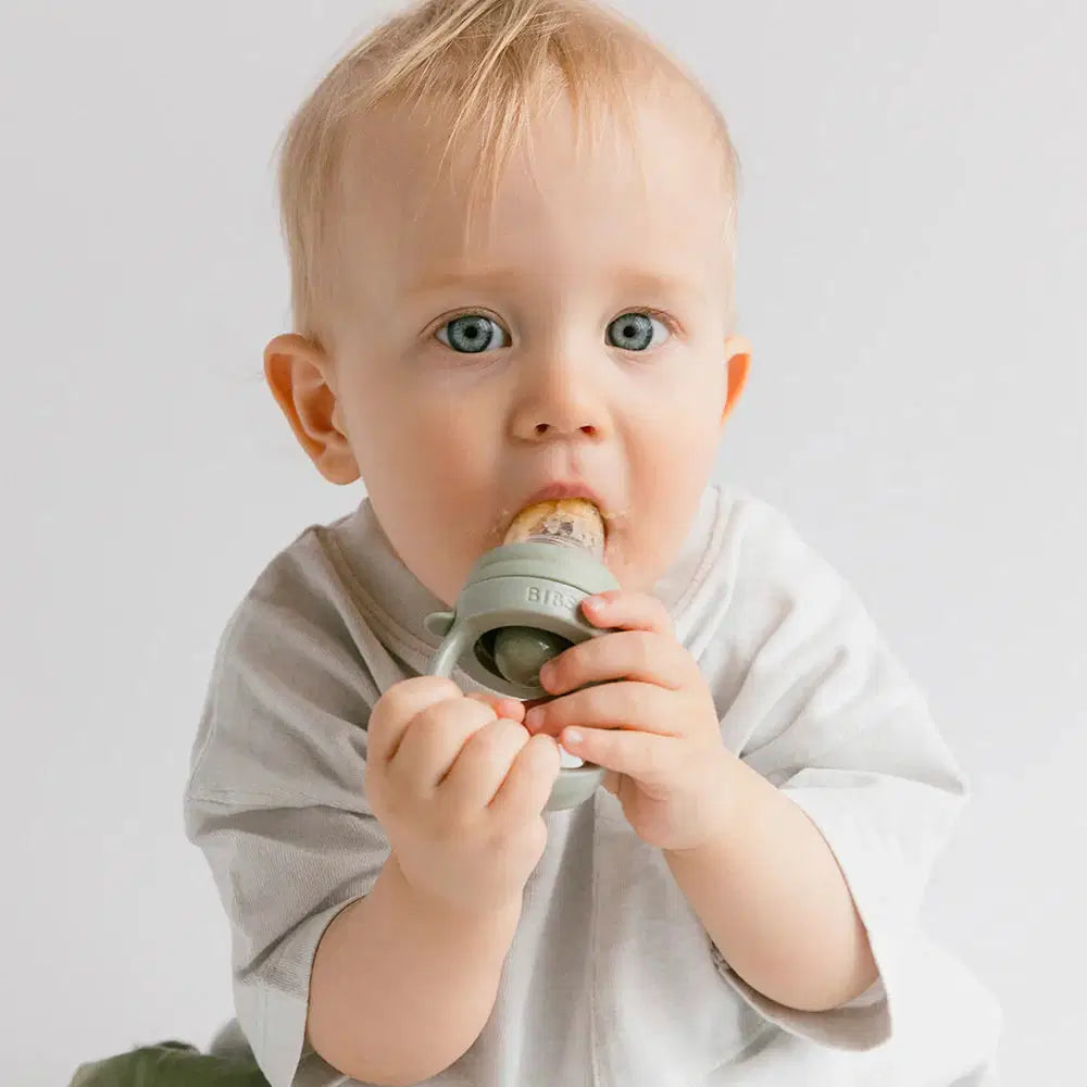 BIBS Baby Feeder