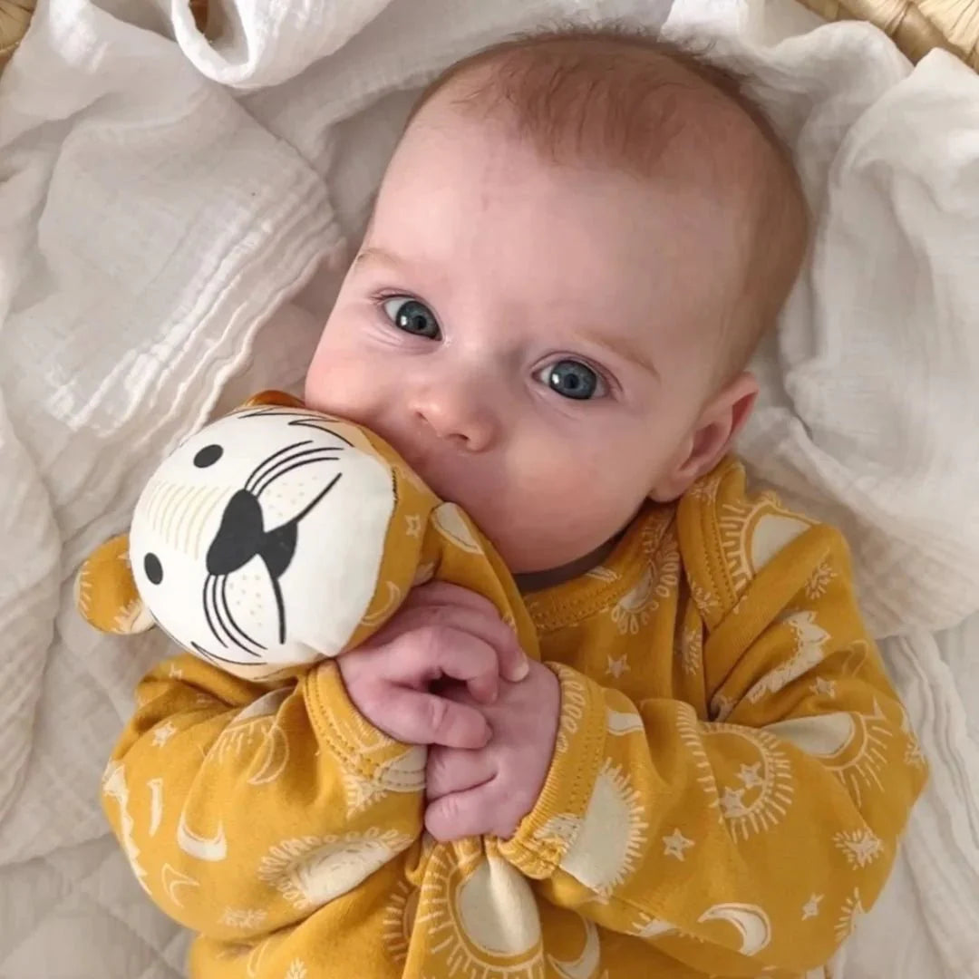 Kippins Dash Kippin Organic Cotton Baby Comforter