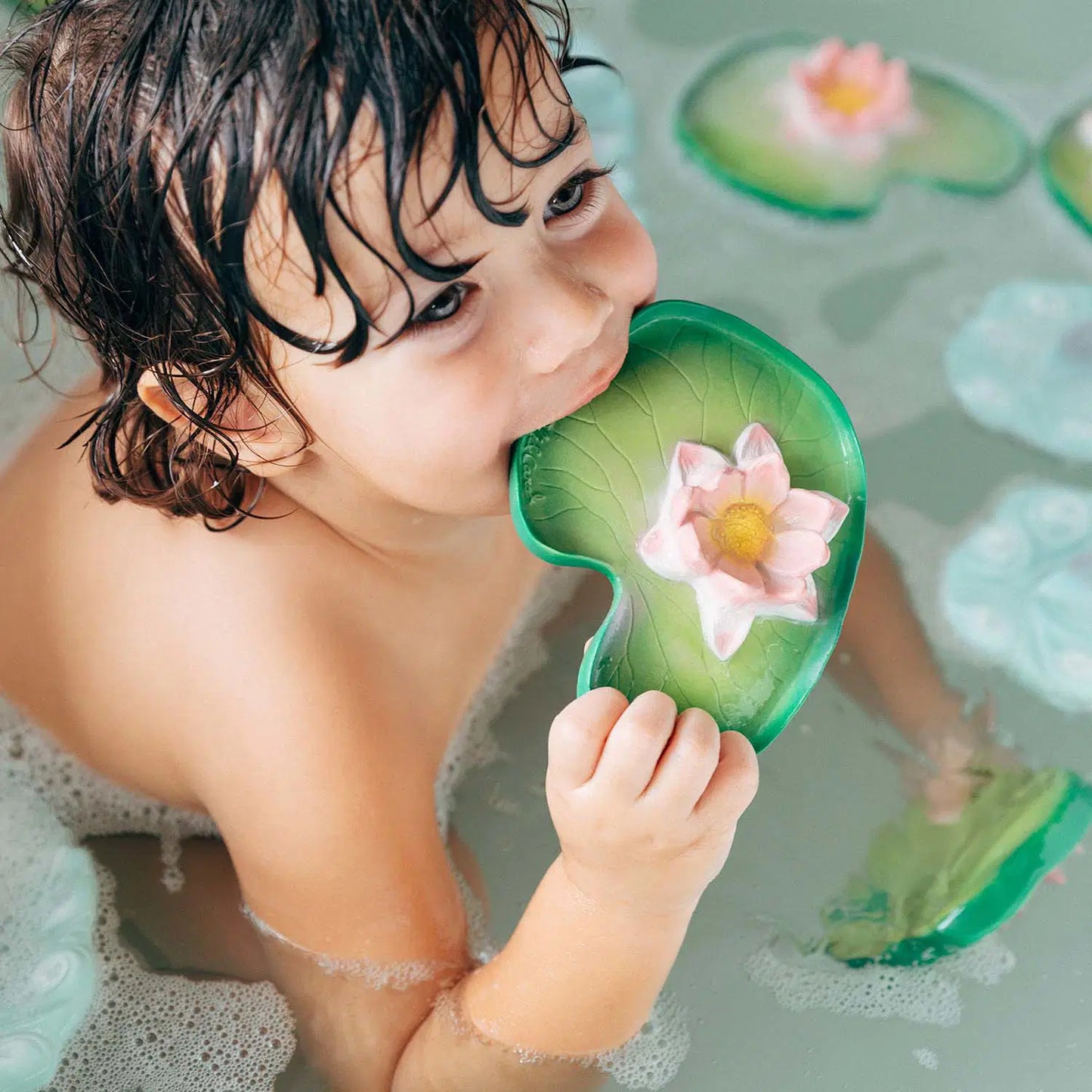 Oil & Carol Water Lily