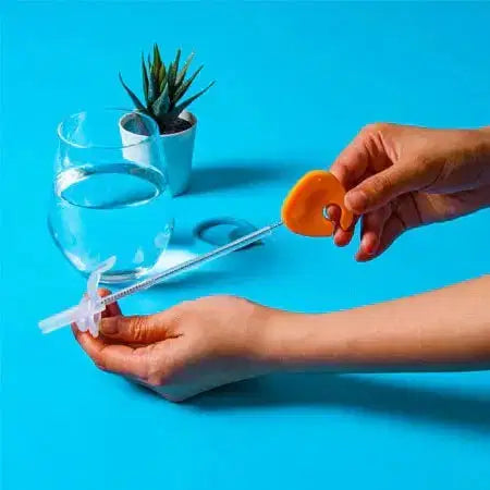 NEW B.Box cleaning brush set - Bubs Universe