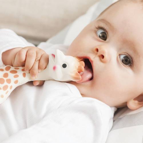 Sophie la girafe® Gift Box - Bubs Universe